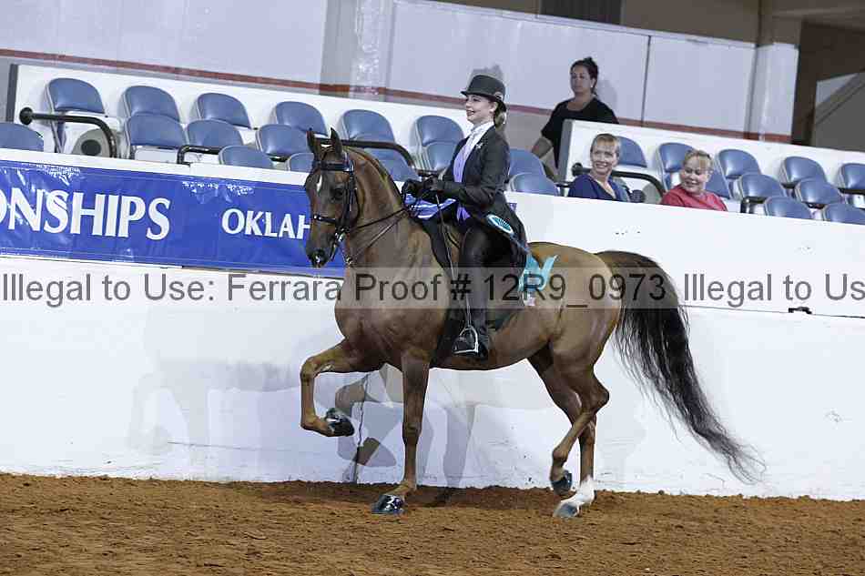 Proof Number 12r9_0973