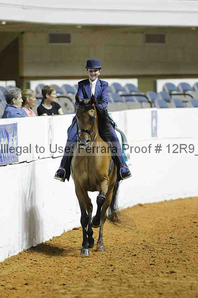Proof Number 12r9_0978