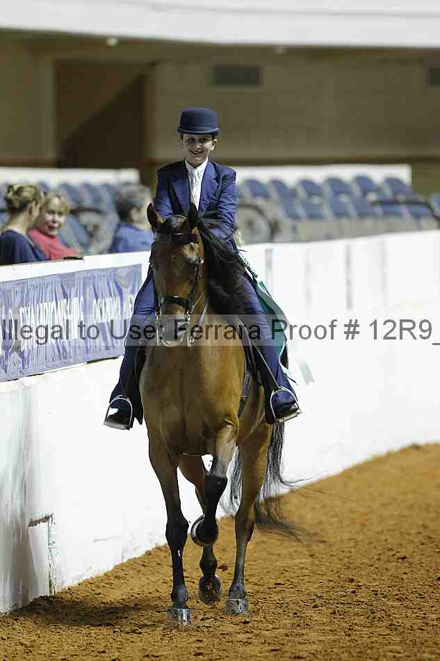 Proof Number 12r9_0979