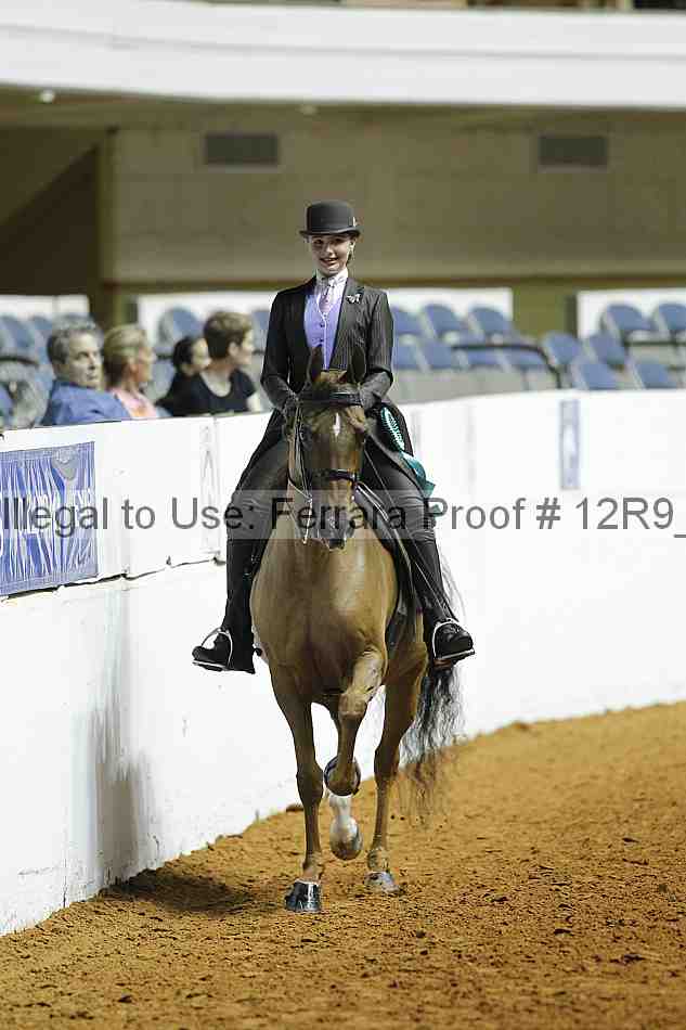 Proof Number 12r9_0981