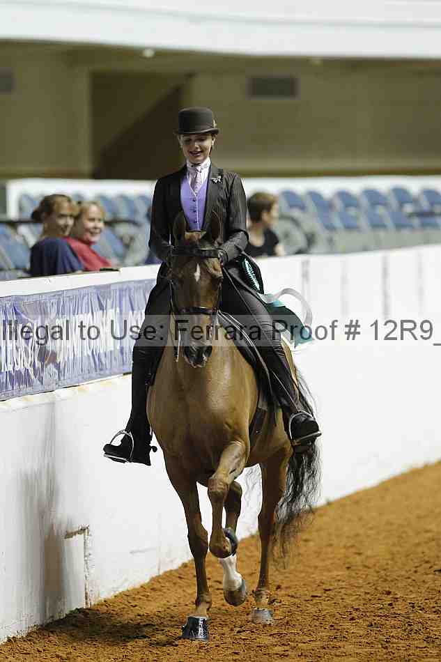 Proof Number 12r9_0982