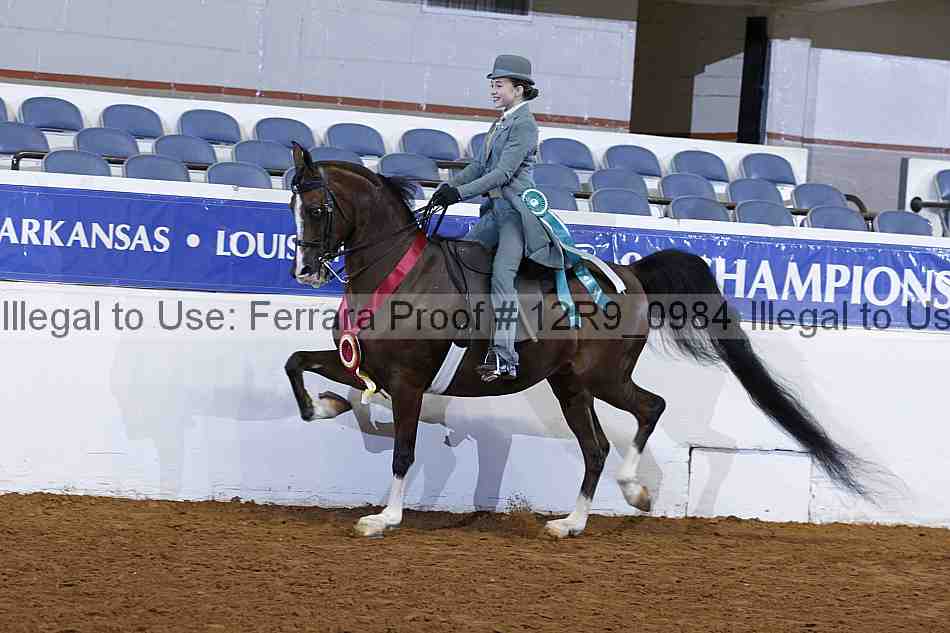 Proof Number 12r9_0984
