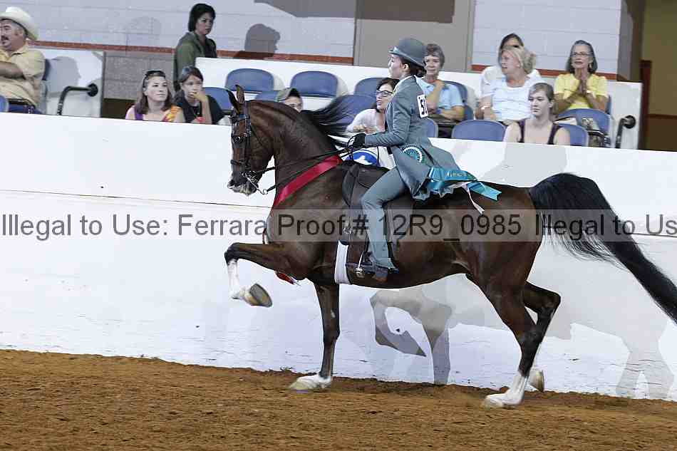 Proof Number 12r9_0985