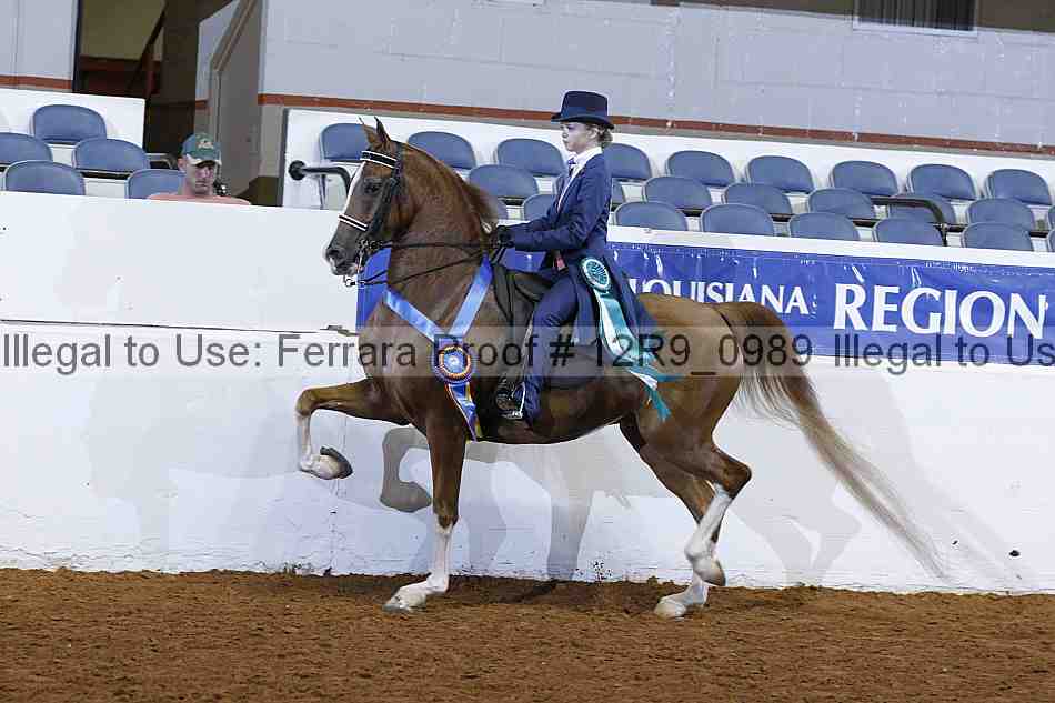 Proof Number 12r9_0989