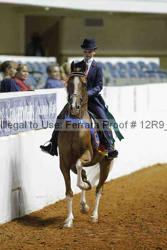 Proof Number 12r9_0994
