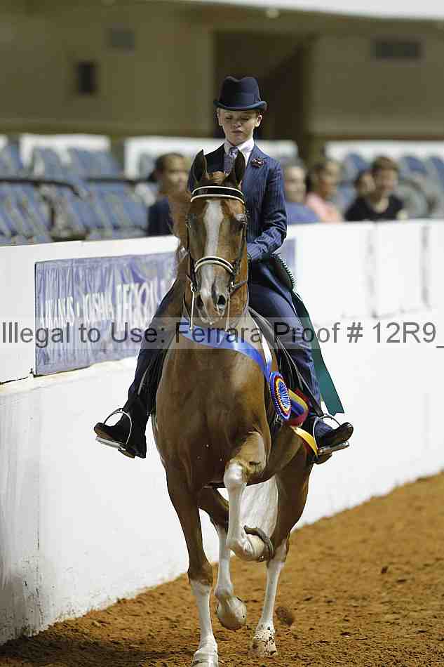 Proof Number 12r9_0995