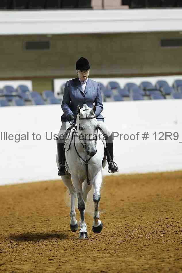 Proof Number 12r9_1028