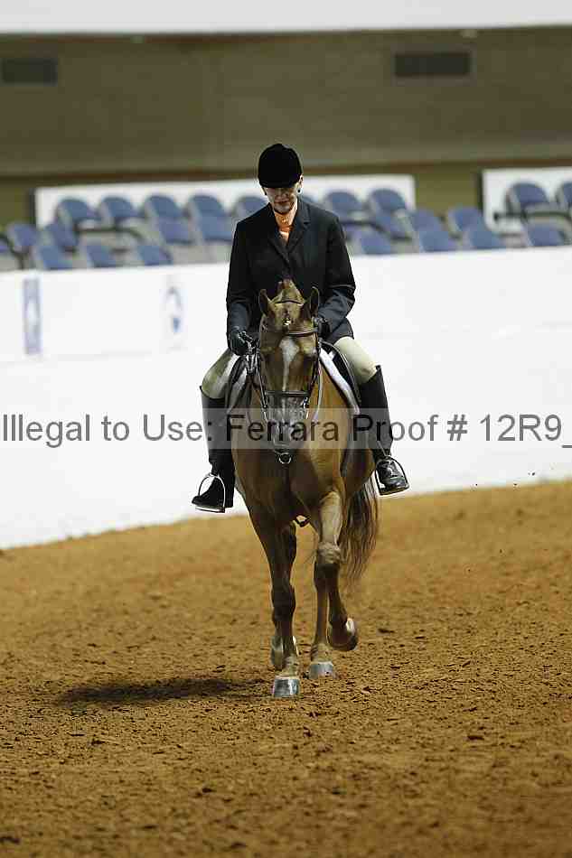 Proof Number 12r9_1032