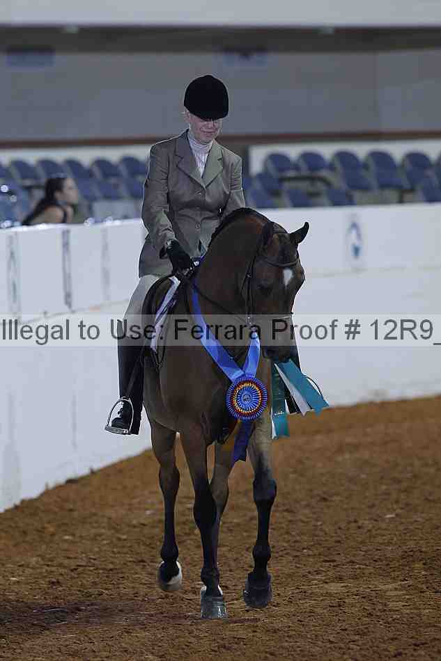 Proof Number 12r9_1058