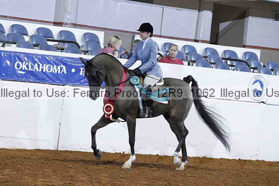 Proof Number 12r9_1062