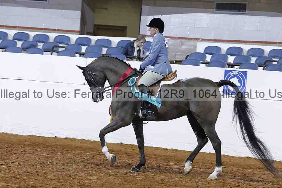 Proof Number 12r9_1064