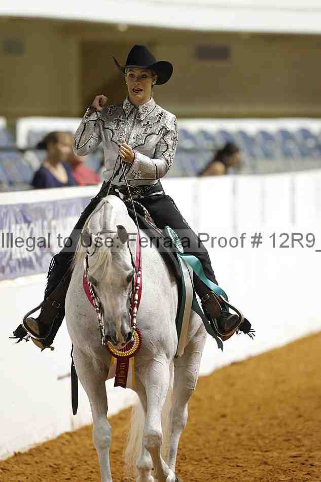 Proof Number 12r9_1099