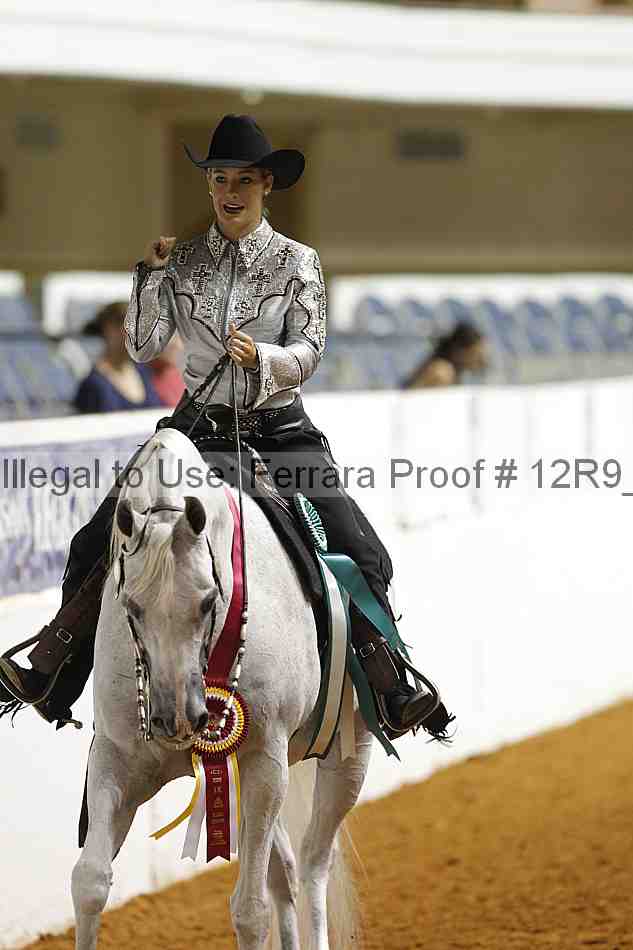 Proof Number 12r9_1101