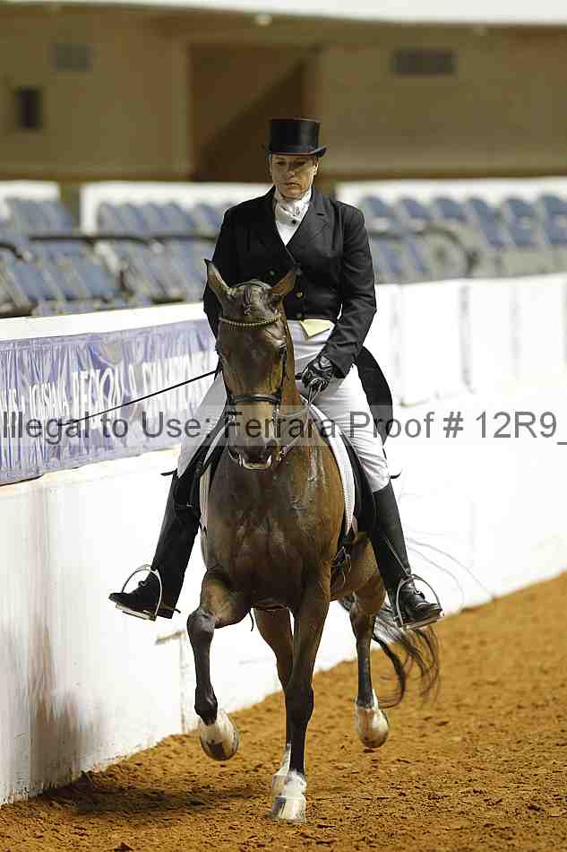Proof Number 12r9_1156