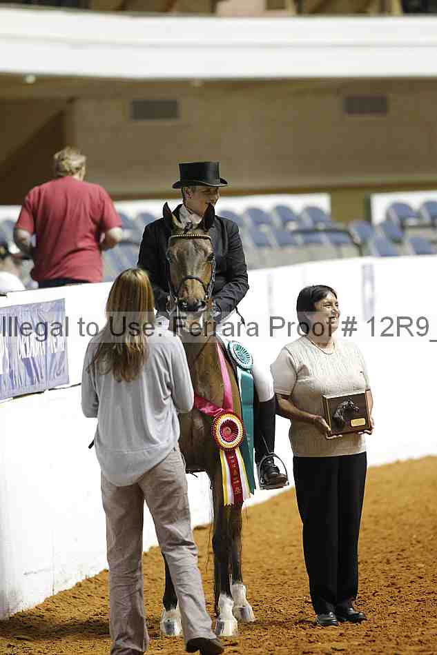 Proof Number 12r9_1159
