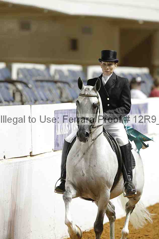 Proof Number 12r9_1174