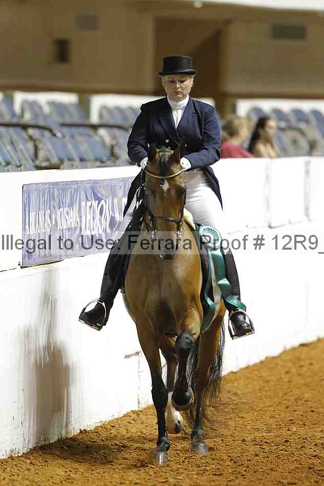 Proof Number 12r9_1176