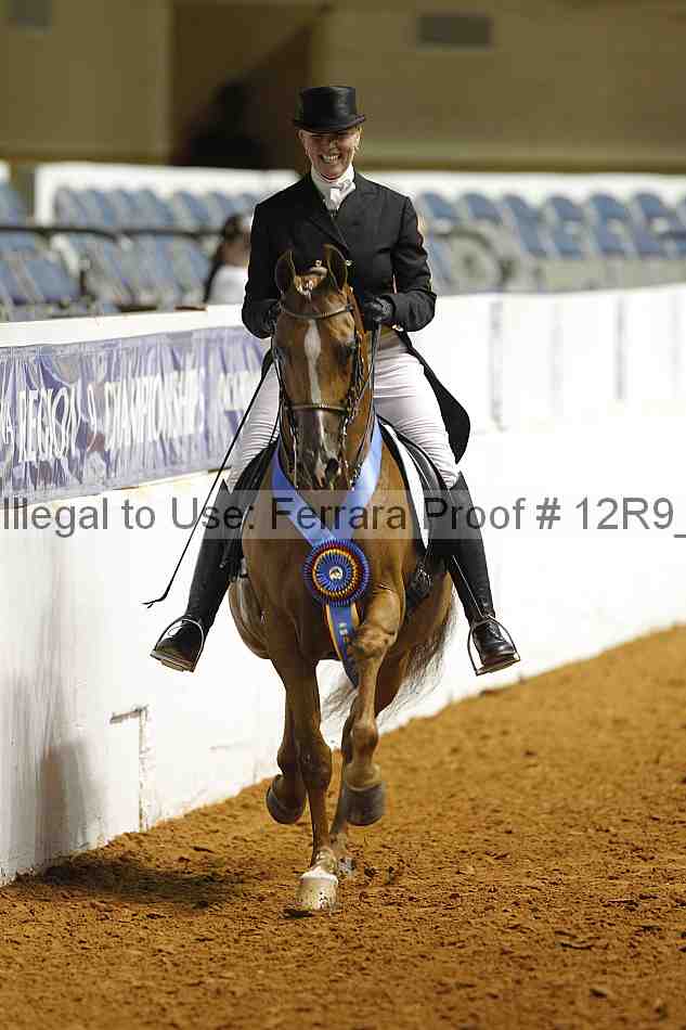 Proof Number 12r9_1182