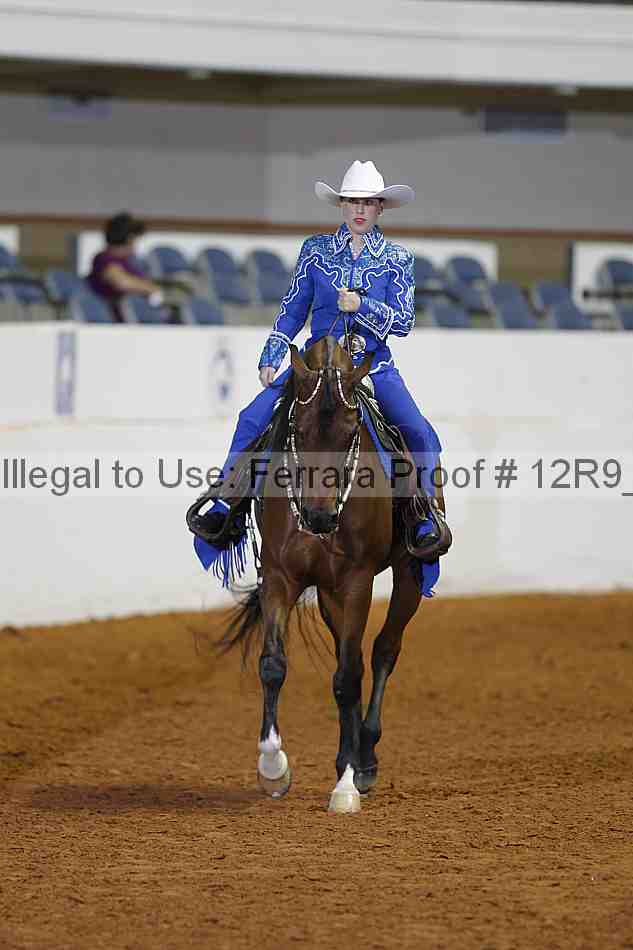 Proof Number 12r9_1218