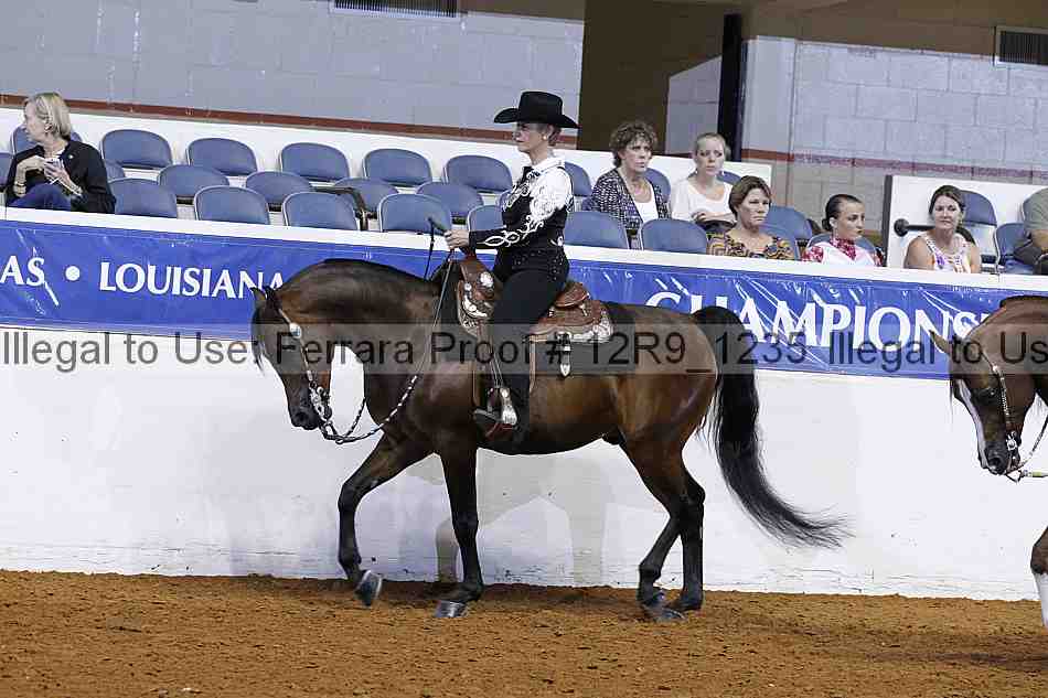 Proof Number 12r9_1235
