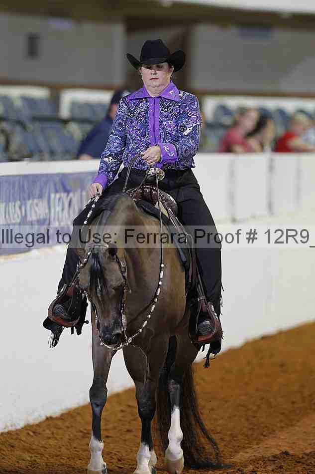 Proof Number 12r9_1243