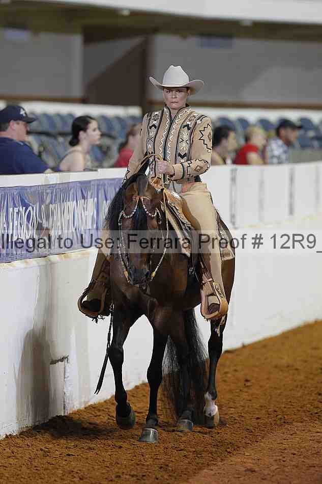 Proof Number 12r9_1246