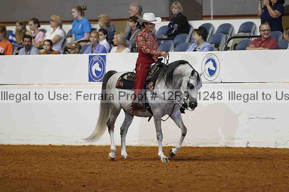 Proof Number 12r9_1248