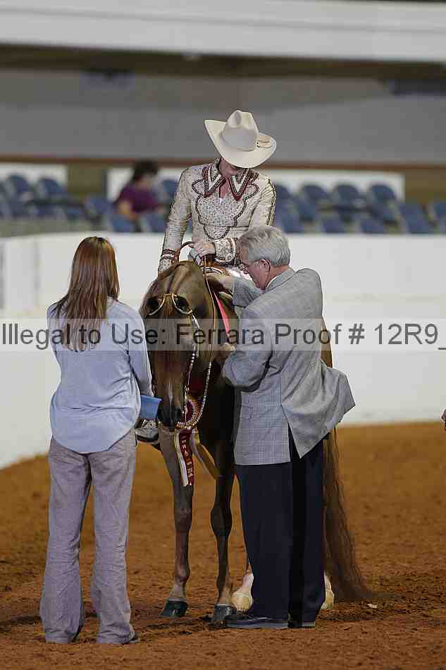 Proof Number 12r9_1255