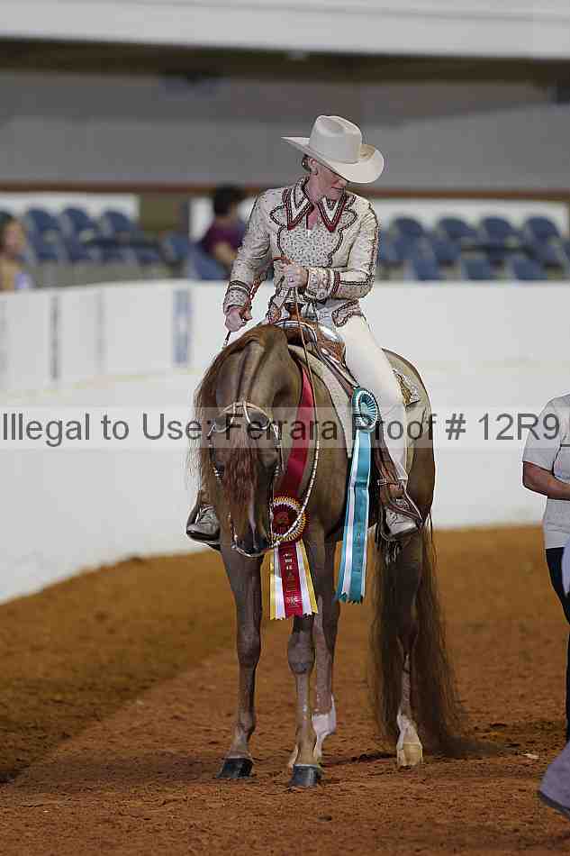 Proof Number 12r9_1257