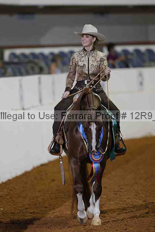 Proof Number 12r9_1266