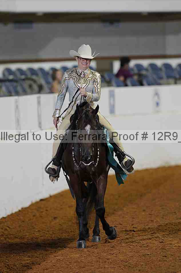 Proof Number 12r9_1271