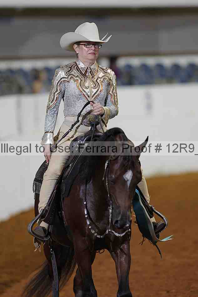 Proof Number 12r9_1273