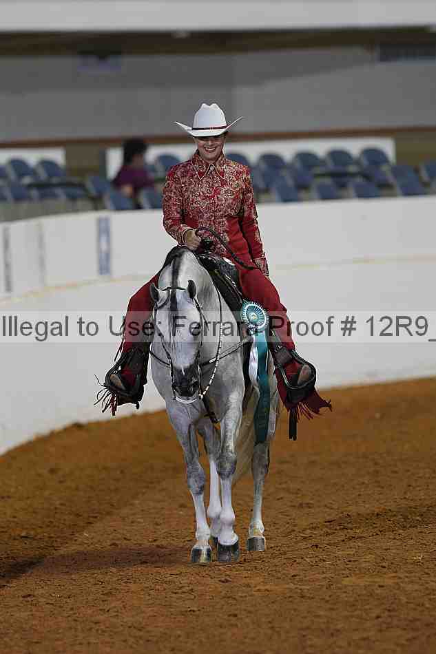 Proof Number 12r9_1276
