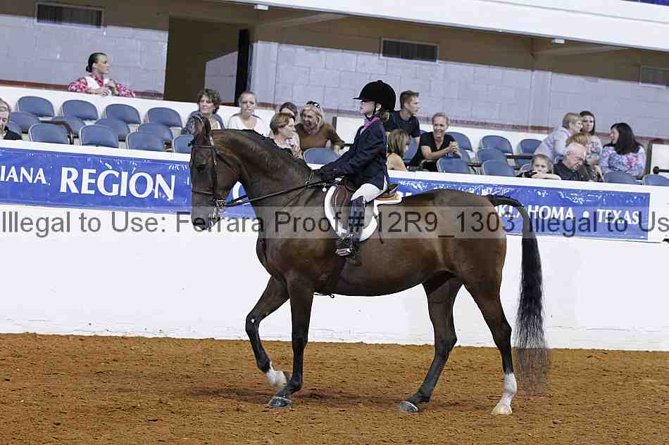 Proof Number 12r9_1303