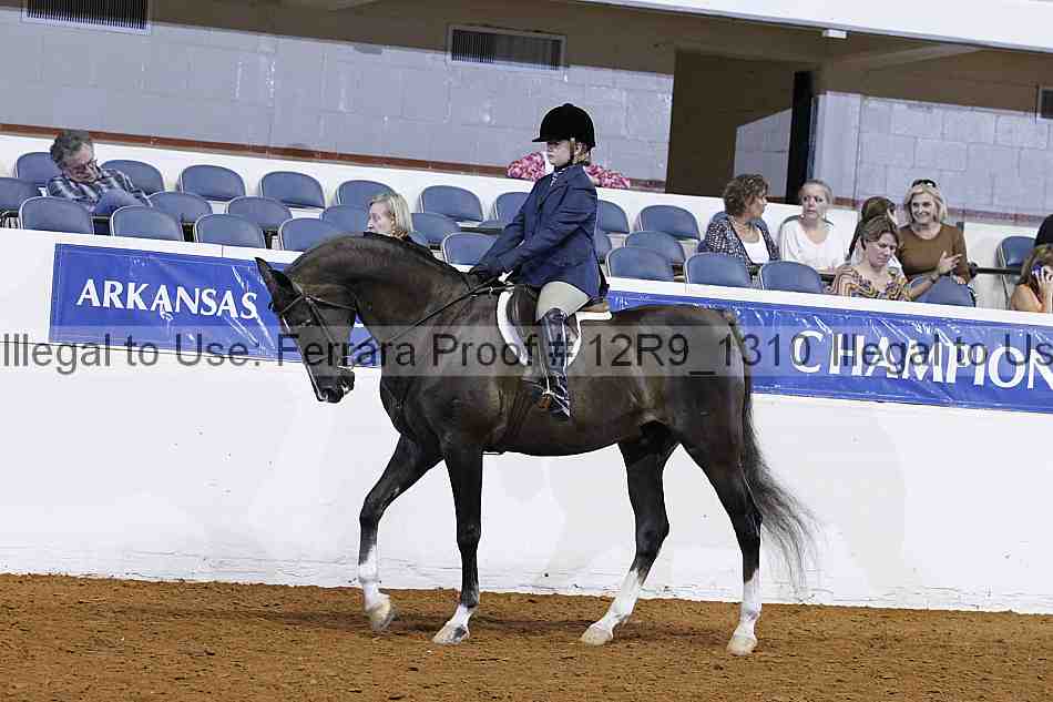 Proof Number 12r9_1310