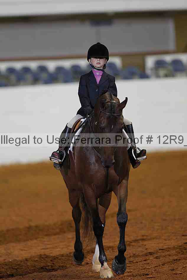 Proof Number 12r9_1319