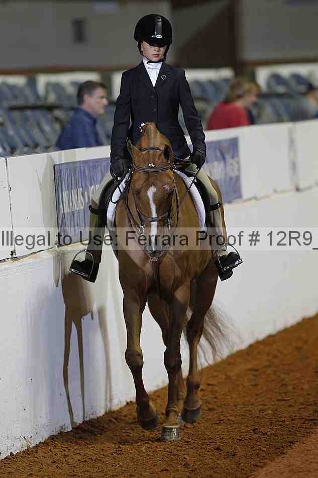 Proof Number 12r9_1324