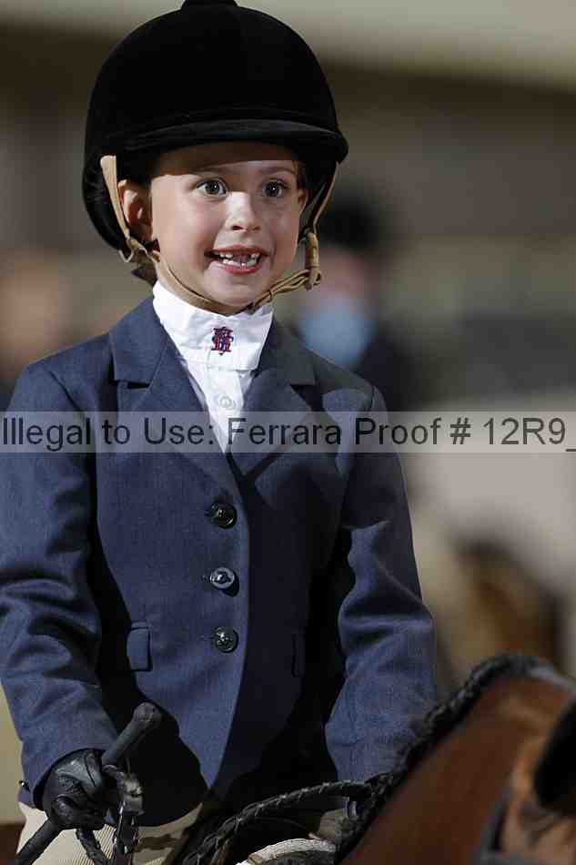 Proof Number 12r9_1333
