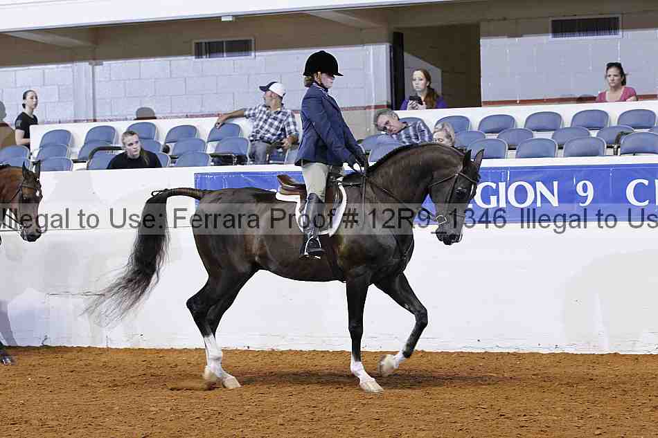 Proof Number 12r9_1346