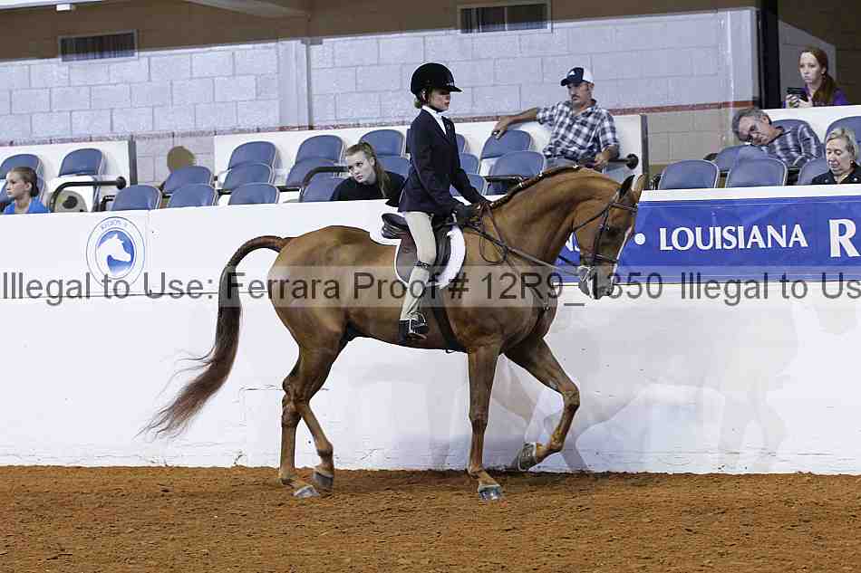 Proof Number 12r9_1350
