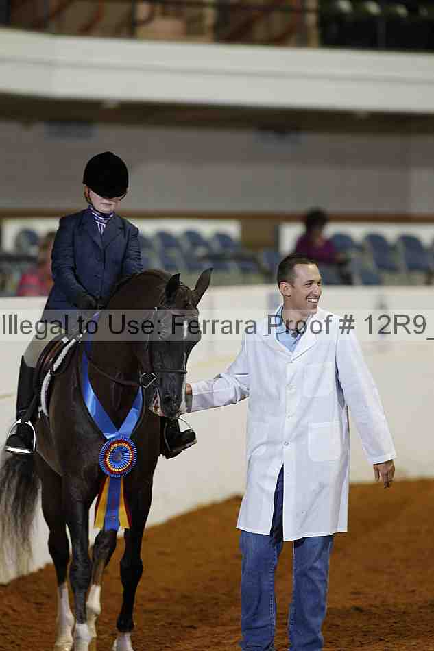 Proof Number 12r9_1369