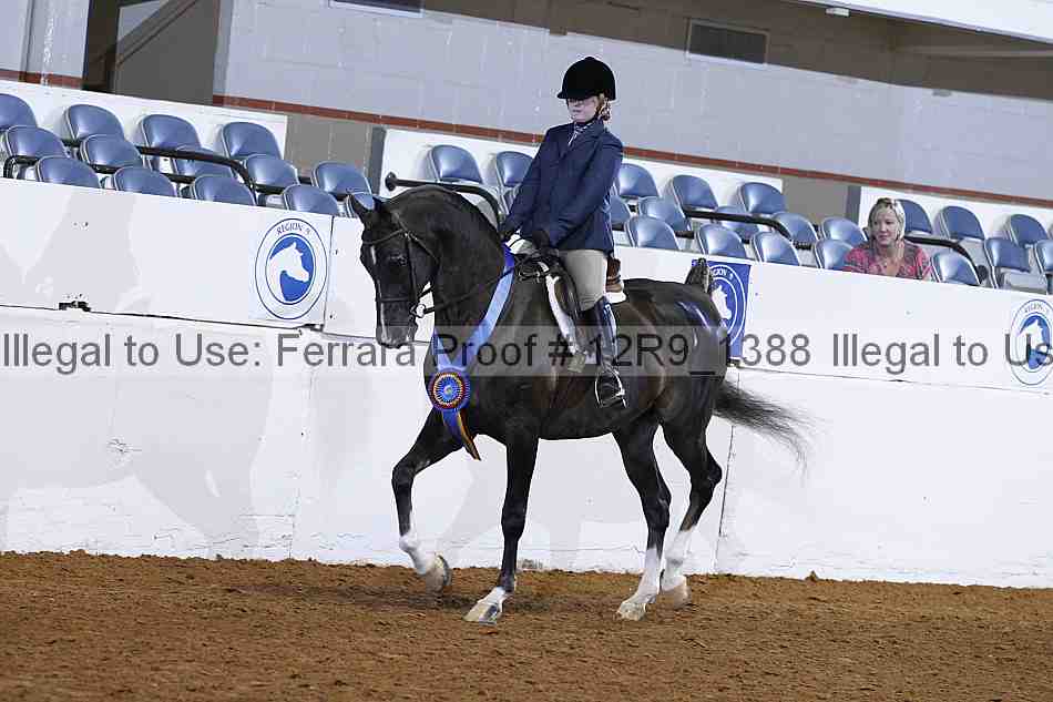 Proof Number 12r9_1388
