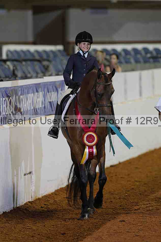 Proof Number 12r9_1392