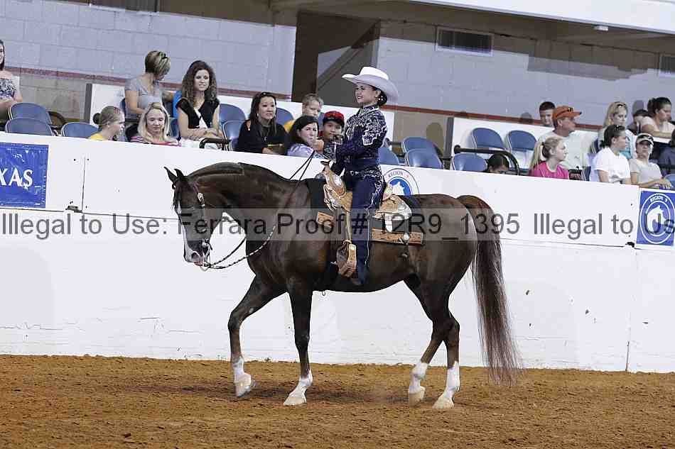 Proof Number 12r9_1395