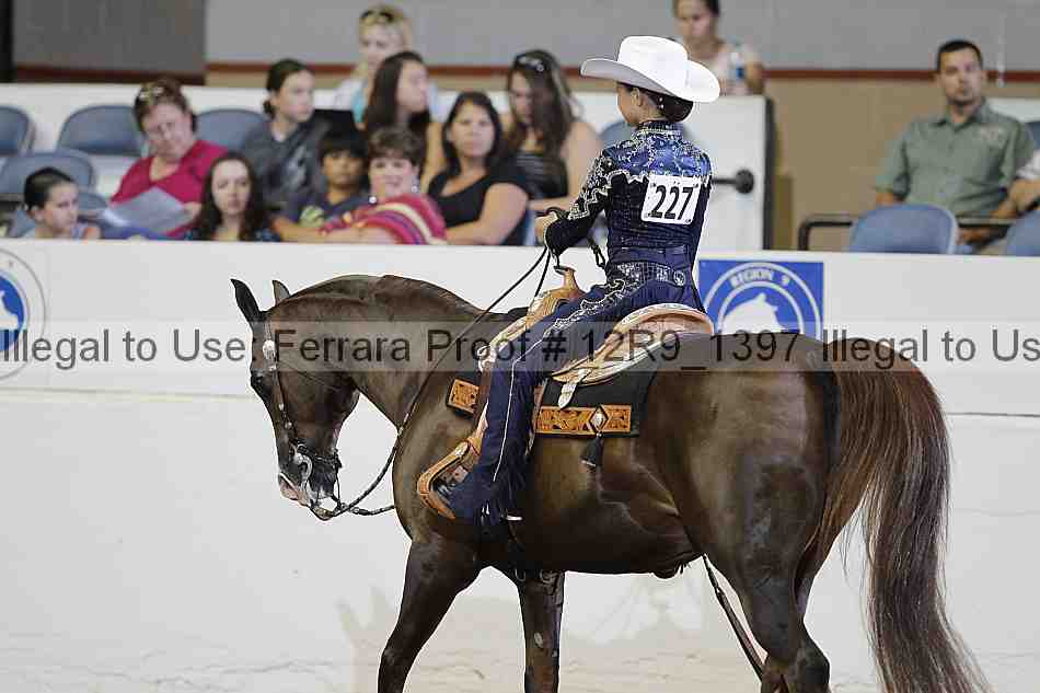 Proof Number 12r9_1397