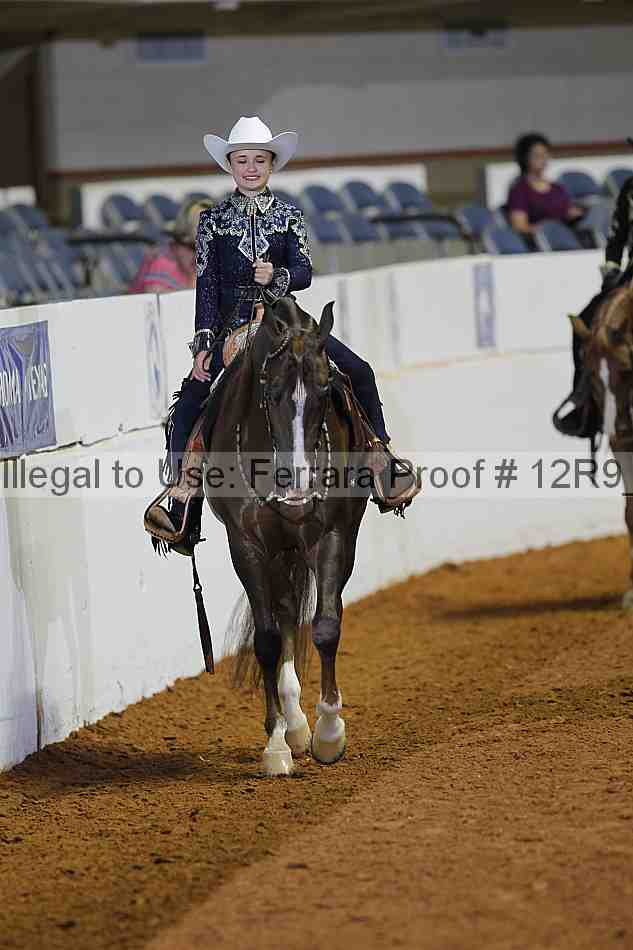 Proof Number 12r9_1405