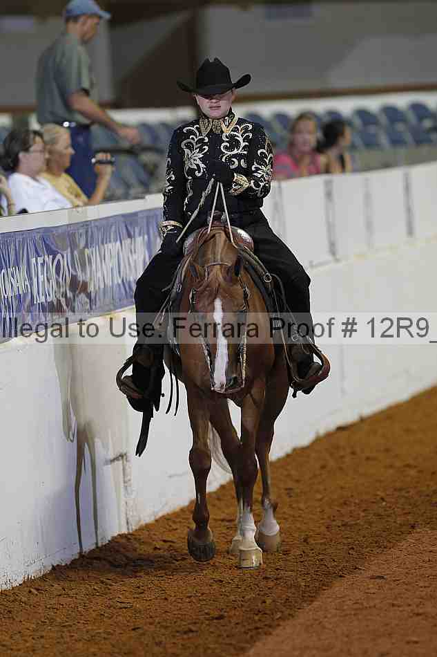 Proof Number 12r9_1406