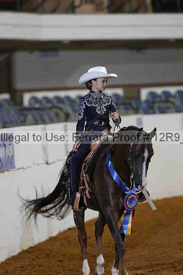 Proof Number 12r9_1424