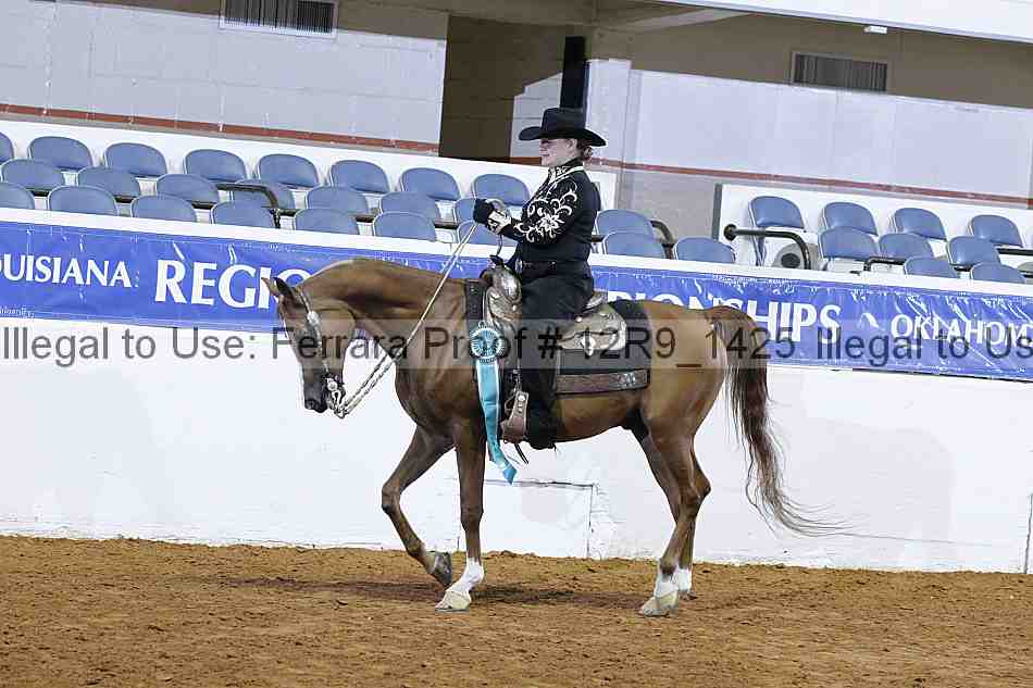 Proof Number 12r9_1425
