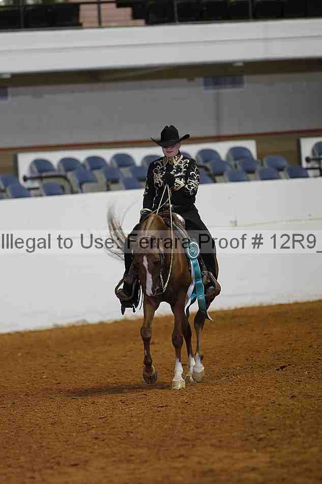Proof Number 12r9_1429